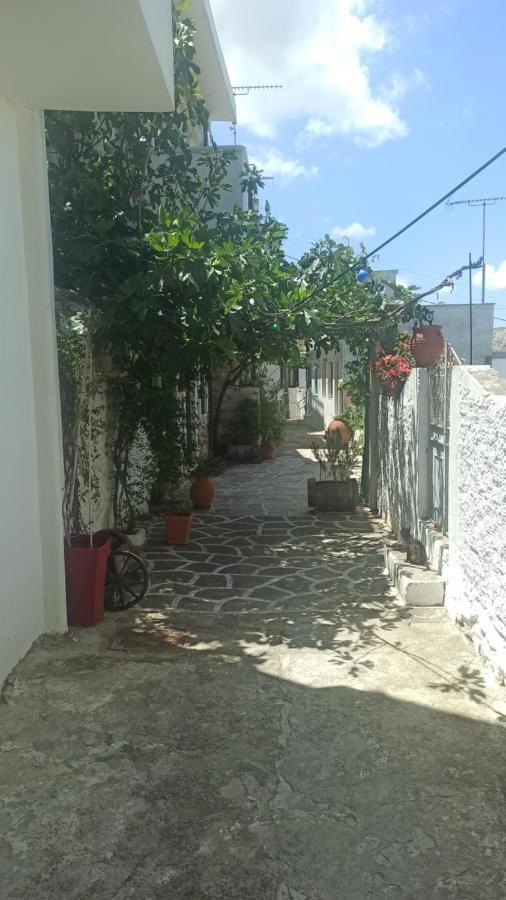 Michael'S Apartment Filoti Εξωτερικό φωτογραφία