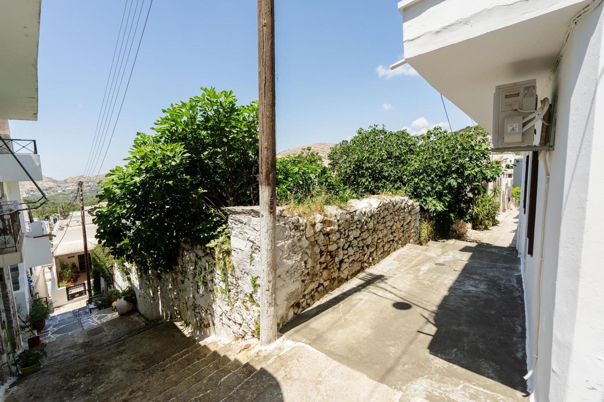 Michael'S Apartment Filoti Εξωτερικό φωτογραφία